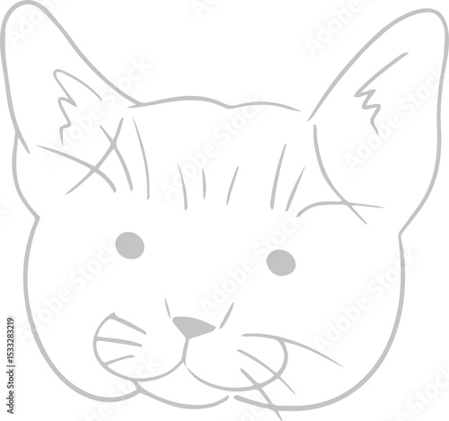Fototapeta Naklejka Na Ścianę i Meble -  Minimalist line drawing showing cat head with ears, eyes, nose, whiskers on transparent background