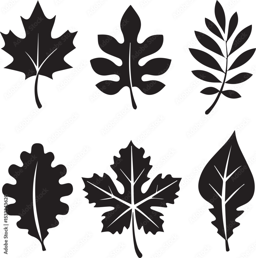 Fototapeta premium leaves silhouette vector set, set of leaves illustration vector, leaves vector black and white
