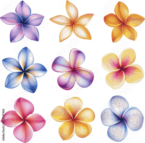 frangipani flower set
