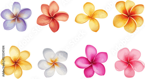 set of frangipani flower petals in color style