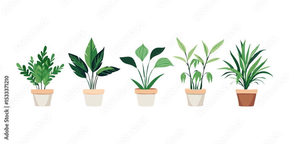 plant in a pot plant in a pot