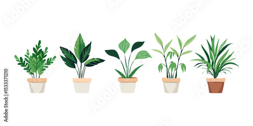 plant in a pot