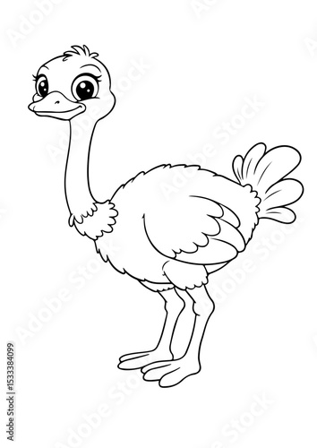 ostrich cartoon outline line art vector illustration for coloring page for chidren's kids, transparent background