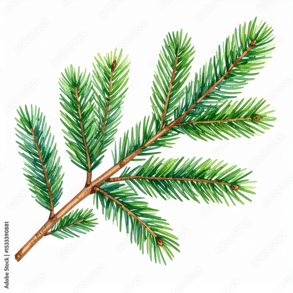 Naklejka premium Watercolor Painting of Lush Green Evergreen Branch