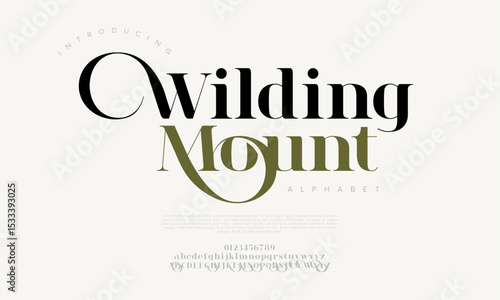 Wilding Mount Elegant Dual Serif Font with Luxury Feel