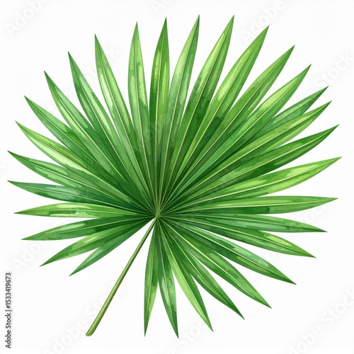 Green Tropical Palm Leaf Watercolor Painting