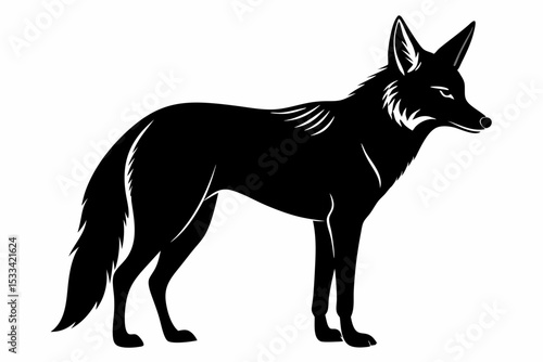 jackal sihouette black vector