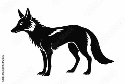 jackal sihouette black vector