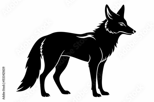 jackal sihouette black vector