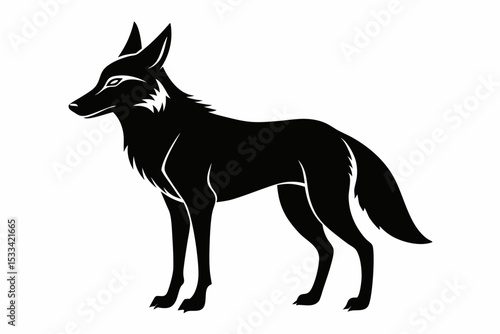 jackal sihouette black vector