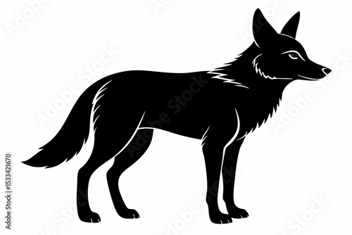 jackal sihouette black vector