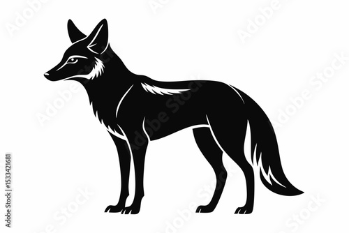 jackal sihouette black vector