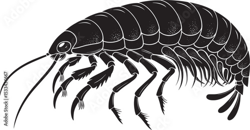 Fresh seafood illustration: isolated black and white vector of a shrimp, prawn, or crayfish on a white background