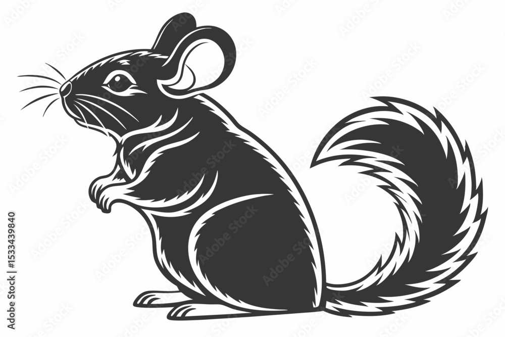 chinchilla sihouette black vector chinchilla sihouette black vector