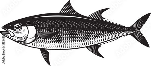 sardine fish isolated on white background, a raw and healthy seafood illustration