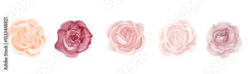 vector flower bouquet set isolated