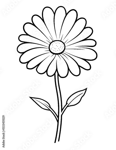 Black and white color pages