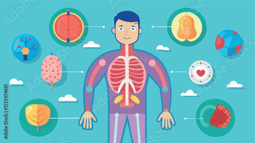 Understanding the human body with diagrams of organs and systems for educational purposes