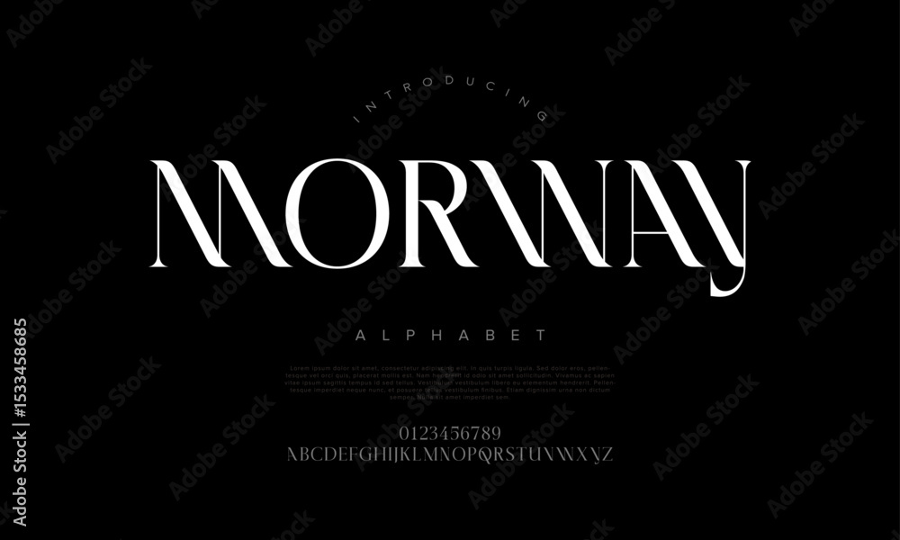 Obraz premium High-contrast serif with refined curves and timeless elegance, ideal for upscale branding and editorial design