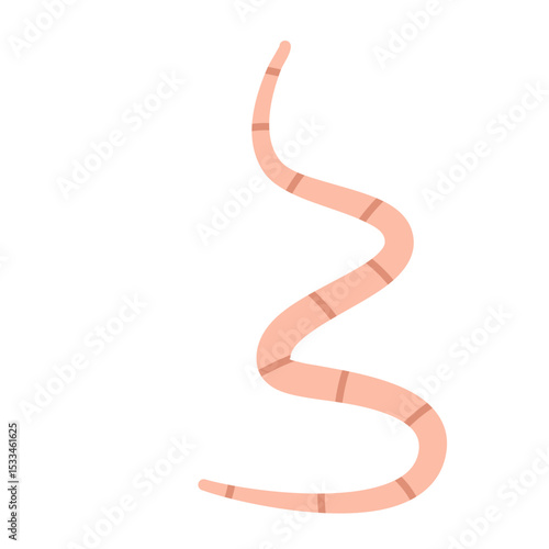 Cartoon earth worms vector illustration 