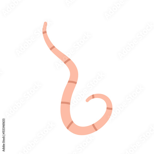Cartoon earth worms vector illustration 