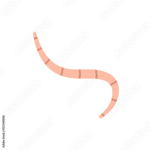 Cartoon earth worms vector illustration 