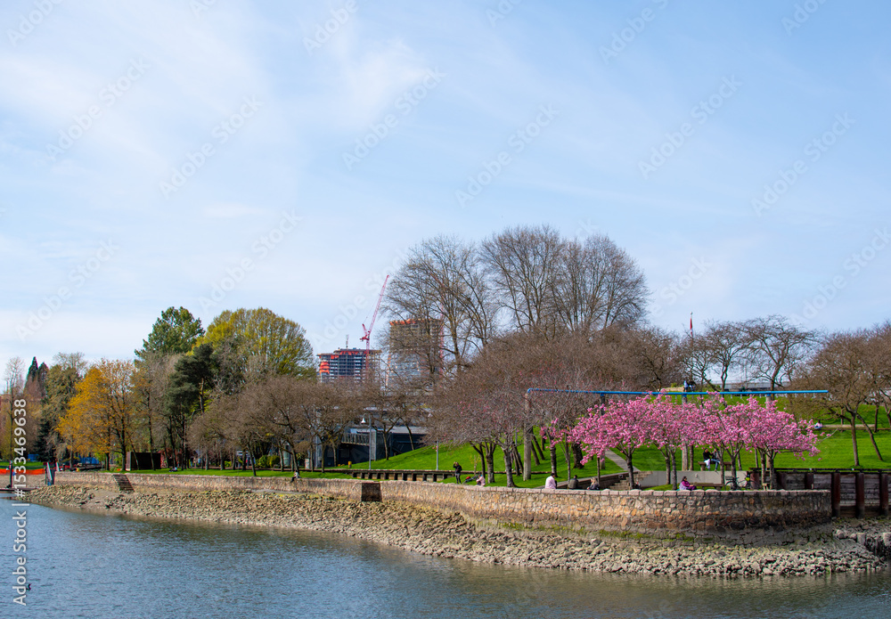 Obraz premium Riverside Park with Cherry Blossoms and Urban Skyline in View