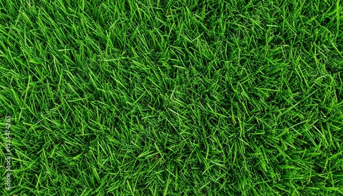 Vibrant green grass texture, close-up view of lush lawn, perfect for backgrounds