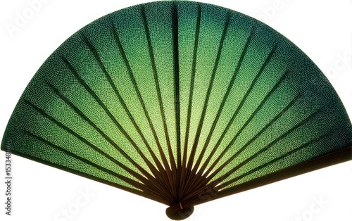 Elegant green fan