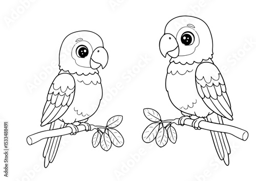 cute parrot cartoon outline line art vector illustration for coloring page for chidren's kids, transparent background