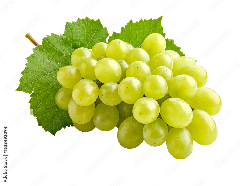 Obraz premium Green vineyard grapes cluster isolated on white background.