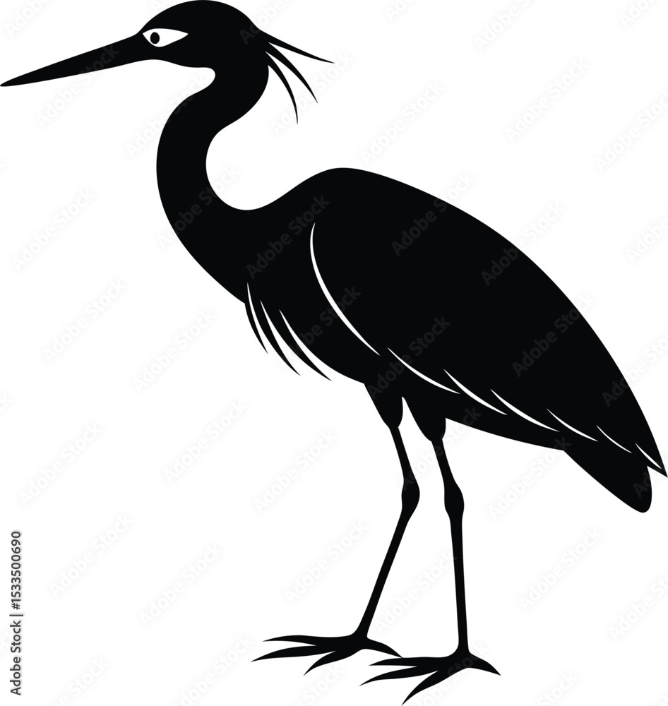 Obraz premium heron on the shore