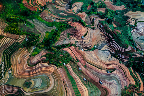 Bild auf Leinwand Mu Cang Chai terraced fields