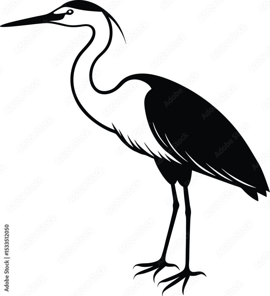 Fototapeta premium heron on a black background