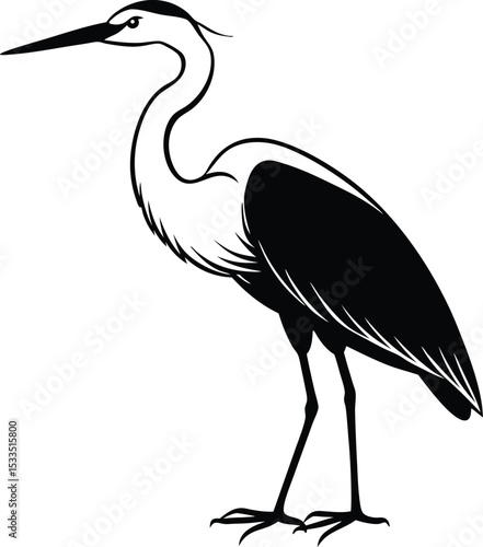 Egret Silhouette Line Art Vector Illustration On White Background