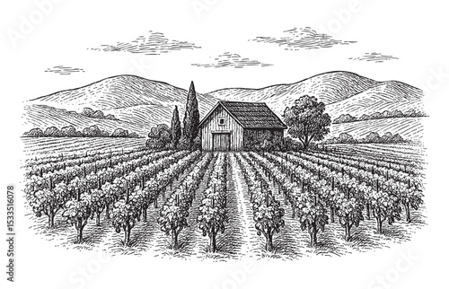 Vineyard Landscape with Barn, Trees, and Hills Vintage Engraving Illustration.
