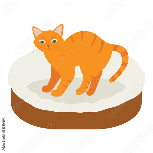 Ginger cat in his soft cozy bed cushion