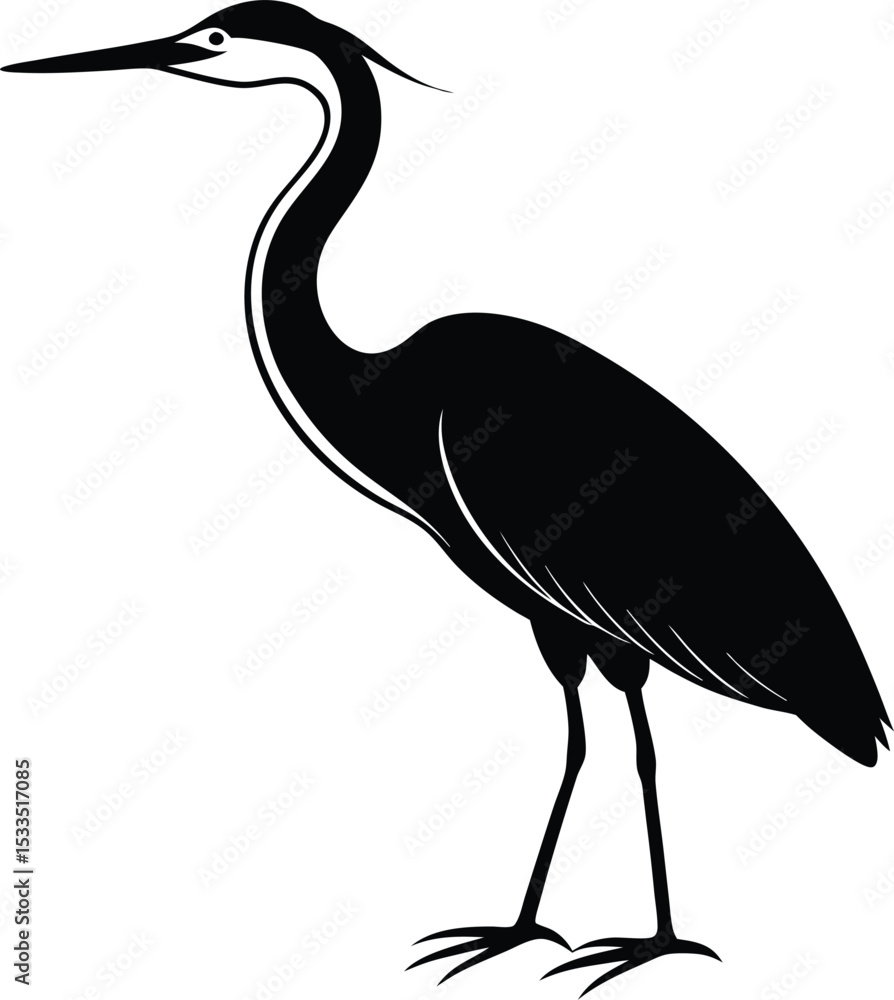 Obraz premium great blue heron ardea cinerea
