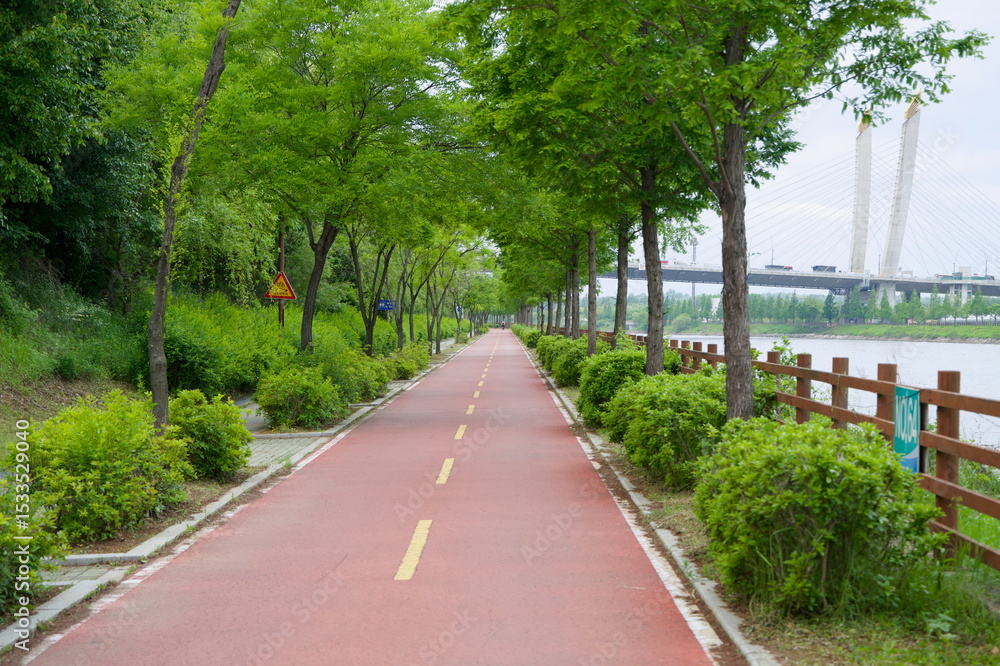 Obraz premium Tree-Lined Bike Path Beside Ara Waterway Near Sicheon Bridge