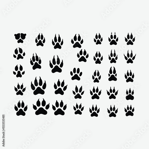 A clean vector collection of black animal paw print silhouettes featuring bears, cats, birds. Ideal for educational, graphic, or design use. Isolated on white background.