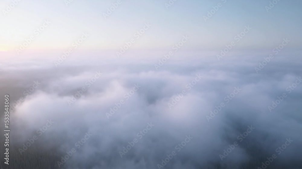 Aerial View of Dense Forest Covered in Thick Clouds During Sunrise Aerial View of Dense Forest Covered in Thick Clouds During Sunrise