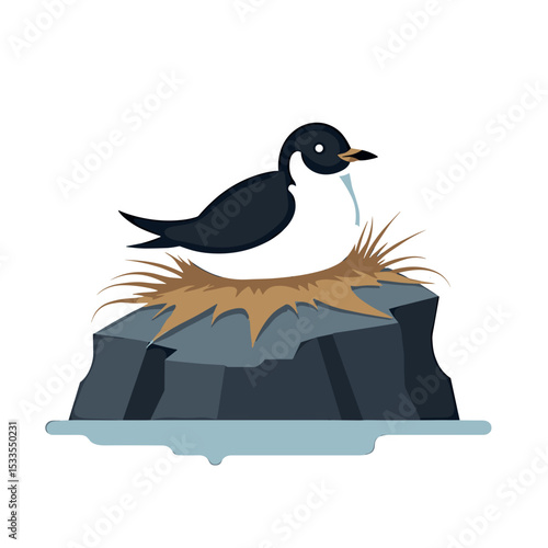 Illustration of a Sooty Tern Bird Nesting on a Rock, Protecting its Eggs