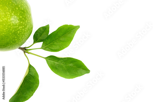 Wallpaper Mural  a portion of a green apple along with its green isolated on white background PNG,ai  generated Torontodigital.ca