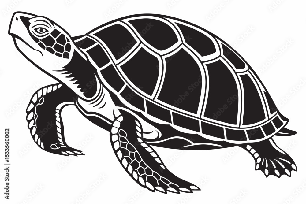 Fototapeta premium box turtle sihouette black vector