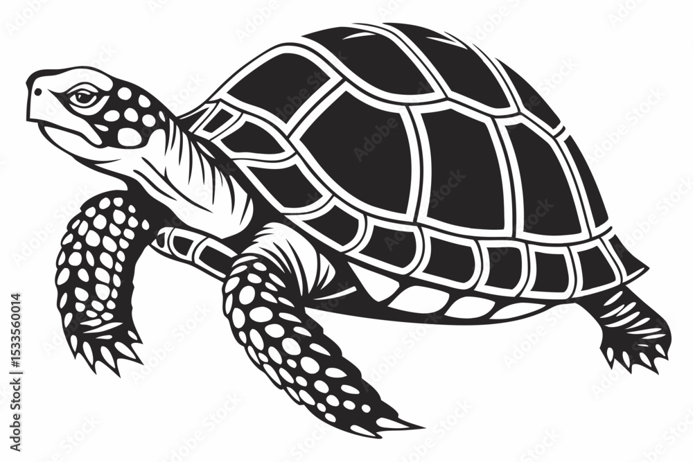 Fototapeta premium box turtle sihouette black vector
