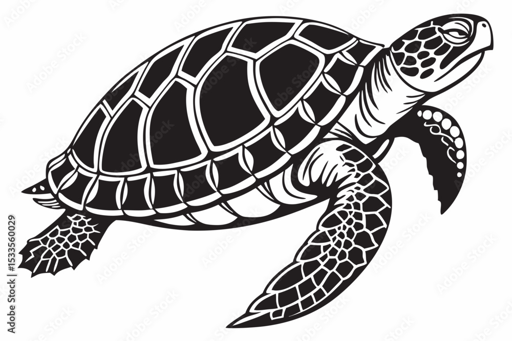 Fototapeta premium box turtle sihouette black vector
