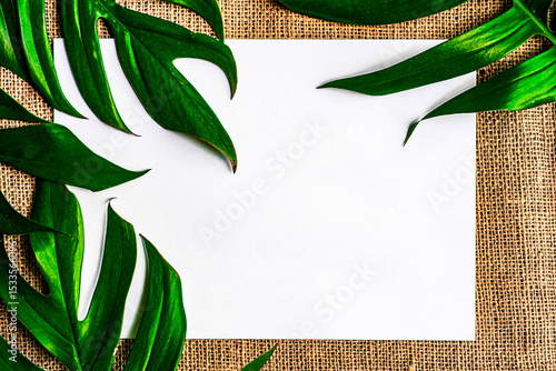 White paper background with green leaves placed as a beautiful frame.White background with green leaves.Background that can be used for every agenda.A variety of backgrounds can be used