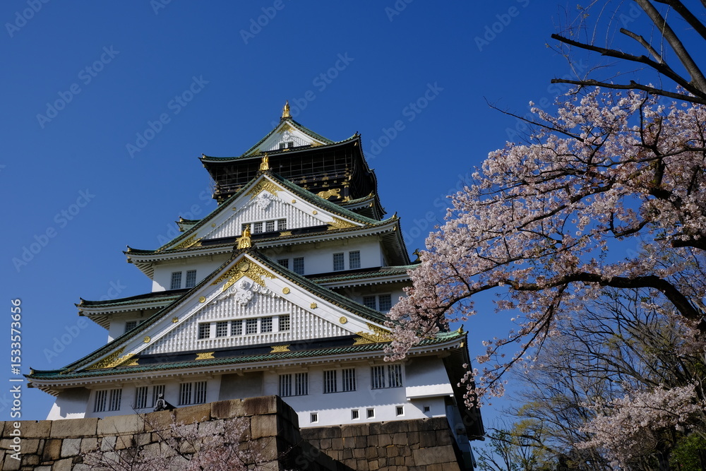 日本、大阪、大阪城、桜、花、金城、大阪城公园、日本の城、特別史跡、輪郭式平城、天守、庭園、春、歷史名勝、綠色、風景、青空、初夏、写真素材
日本、大阪、大阪城、桜、花、金城、大阪城公园、日本の城、特別史跡、輪郭式平城、天守、庭園、春、歷史名勝、綠色、風景、青空、初夏、写真素材