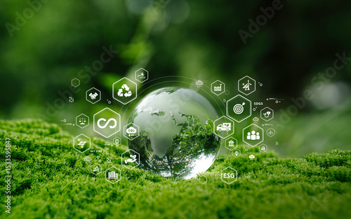 Wallpaper Mural Crystal globe glass on green in forest with icon of Sustainable Development, green business, circular economy, supply chain, . renewable energy, carbon emission to net zero. Earth Day, and ESG concept Torontodigital.ca