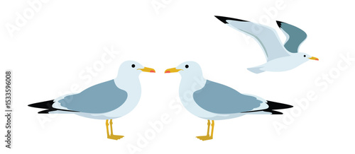 Three Seagulls in Different Poses Illustration